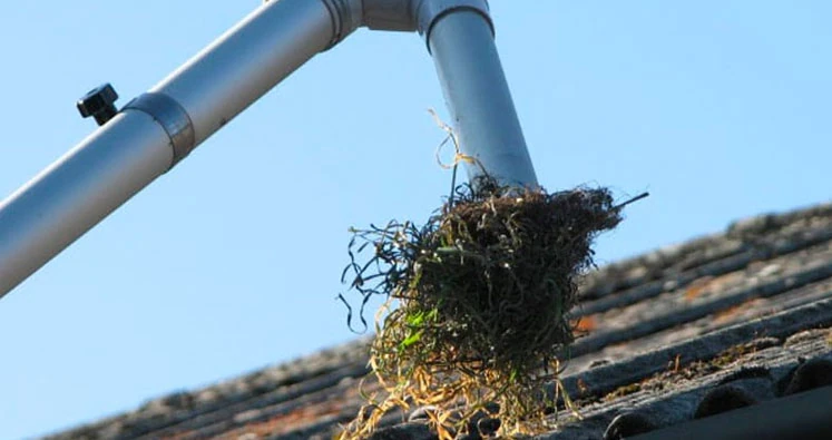 entretien gouttières