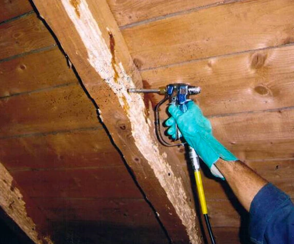 traitement charpente