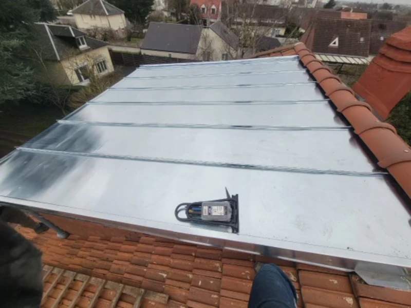 pose-couverture-zinc-chien-assis-Cubzac-les-Ponts