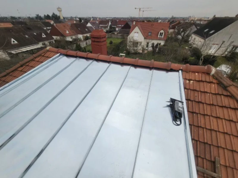 pose-couverture-zinc-chien-assis-Cubzac-les-Ponts