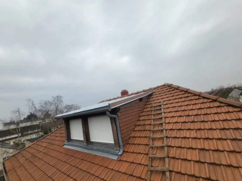 pose-couverture-zinc-chien-assis-Cubzac-les-Ponts